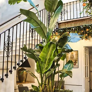 Casa Levante Séjour à la campagne Arcos de la Frontera